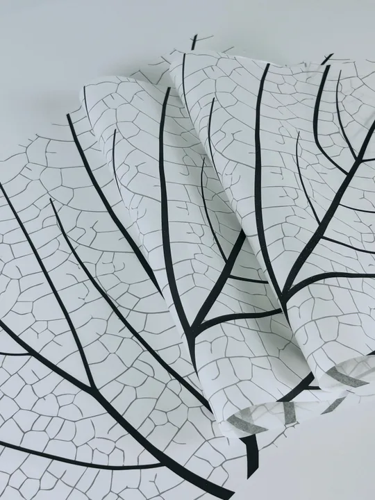 Composição de papel seda em apresentação de entrega